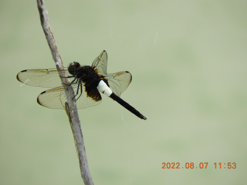 DSCN9926.JPG