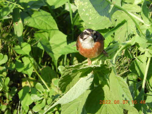 DSCN9931.JPG