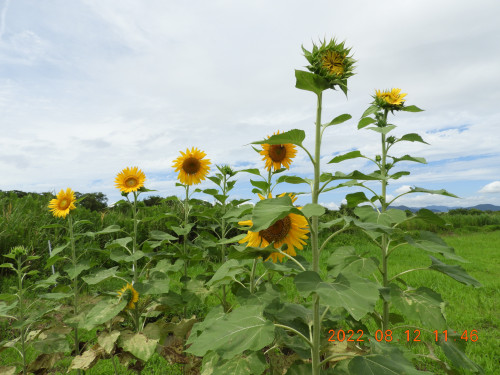 DSCN9957.JPG