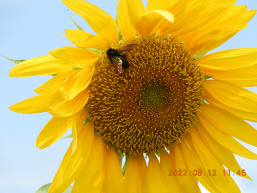 DSCN9954.JPG