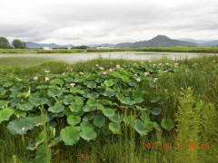 DSCN9953.JPG