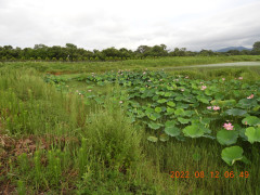 DSCN9952.JPG