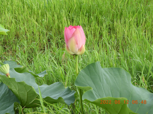 DSCN9951.JPG