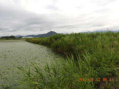 DSCN9946.JPG