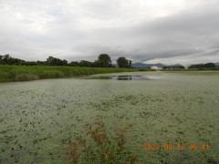 DSCN9945.JPG