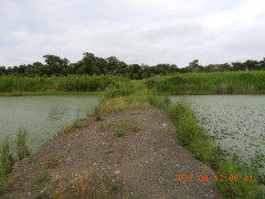 DSCN9944.JPG