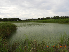 DSCN9943.JPG