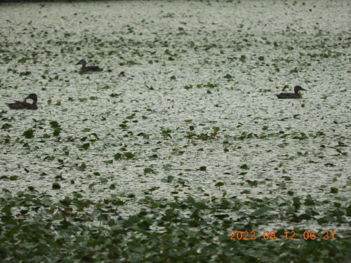 DSCN9942.JPG