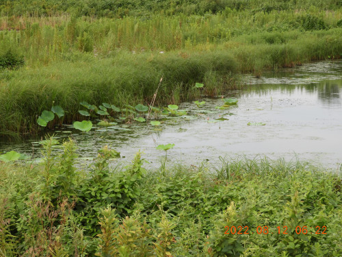 DSCN9939.JPG