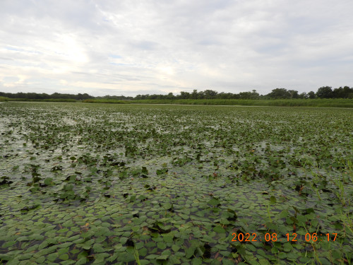 DSCN9937.JPG