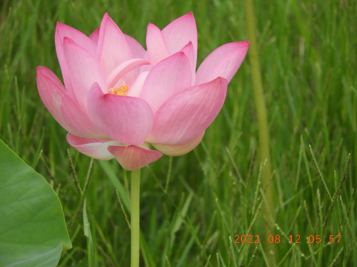 DSCN9936.JPG