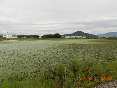 DSCN9985.JPG