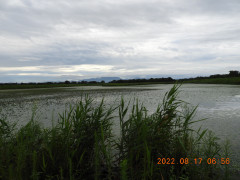 DSCN9987.JPG