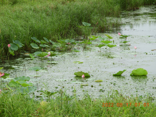 DSCN9990.JPG