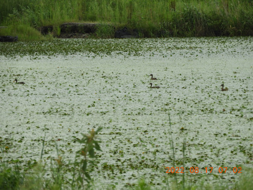 DSCN9992.JPG
