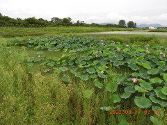 DSCN0001.JPG