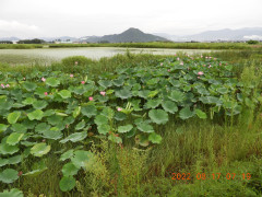 DSCN0002.JPG