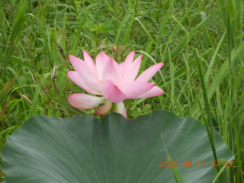 DSCN0005.JPG