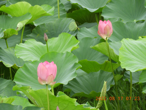 DSCN0006.JPG