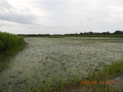DSCN0033.JPG