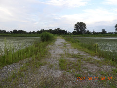 DSCN0034.JPG