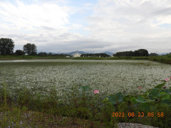 DSCN0035.JPG