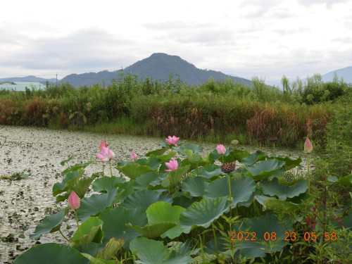 DSCN0036.JPG