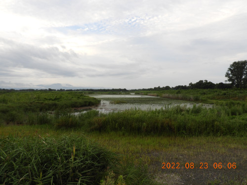 DSCN0037.JPG