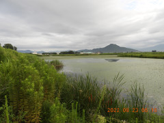 DSCN0040.JPG