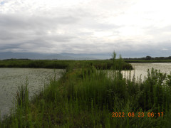 DSCN0041.JPG