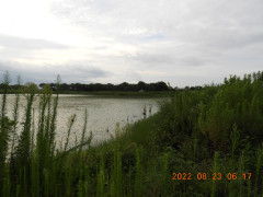 DSCN0042.JPG