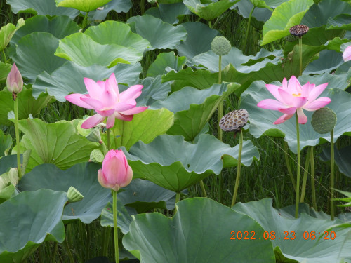 DSCN0043.JPG