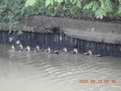 DSCN0055.JPG