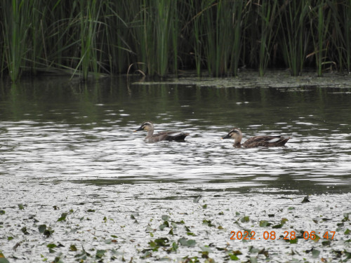 DSCN9893.JPG