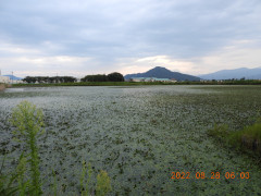 DSCN9876.JPG