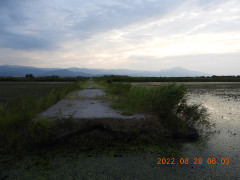 DSCN9877.JPG