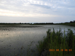 DSCN9878.JPG