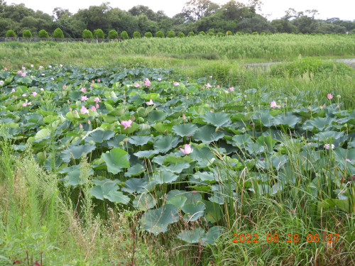 DSCN9883.JPG