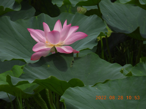 DSCN9991.JPG