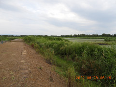 DSCN9879.JPG