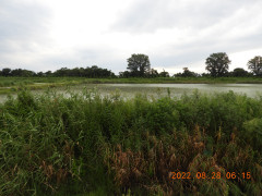 DSCN9880.JPG
