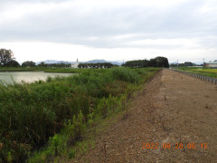 DSCN9881.JPG