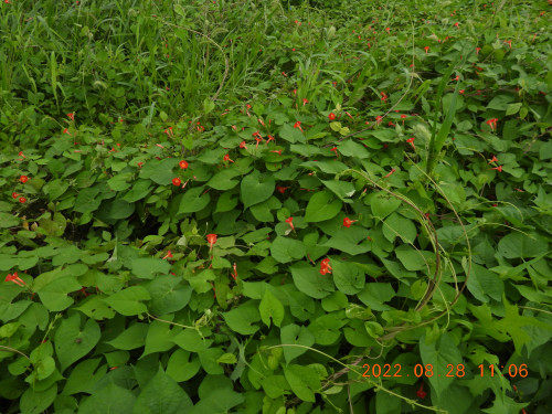 DSCN9995.JPG