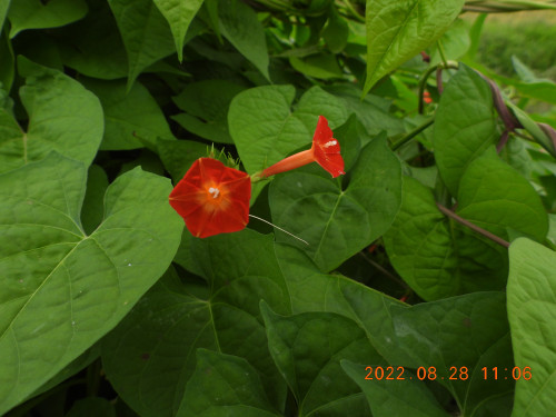 DSCN9996.JPG