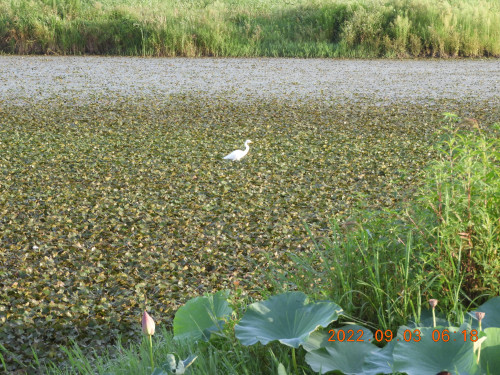 DSCN9963.JPG