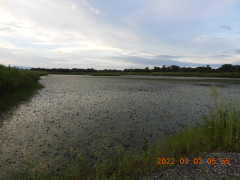 DSCN9950.JPG