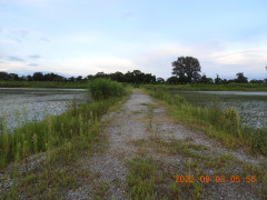 DSCN9951.JPG
