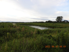 DSCN9954.JPG