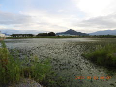 DSCN9955.JPG