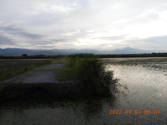 DSCN9956.JPG